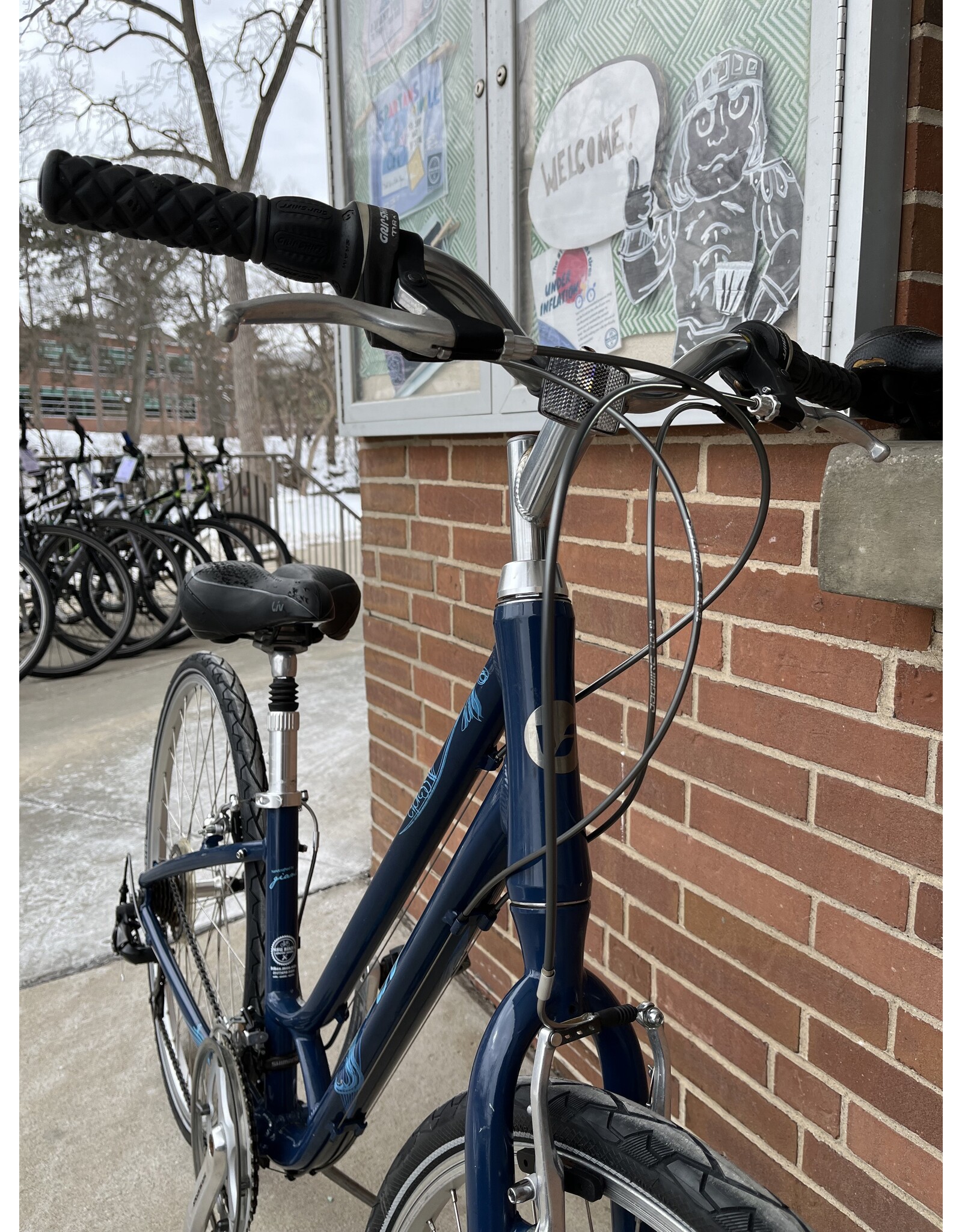 Liv Cypress, Blue, 14in/S