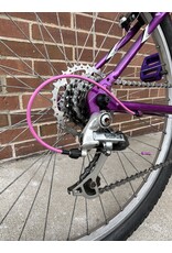 Schwinn Frontier, Purple, 16in/S