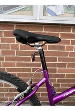 Schwinn Frontier, Purple, 16in/S