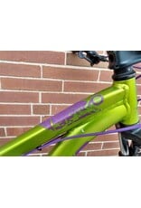 Specialized, P. St 1, Grn/Purple, 13in, 26 in wheels