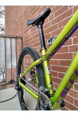 Specialized, P. St 1, Grn/Purple, 13in, 26 in wheels