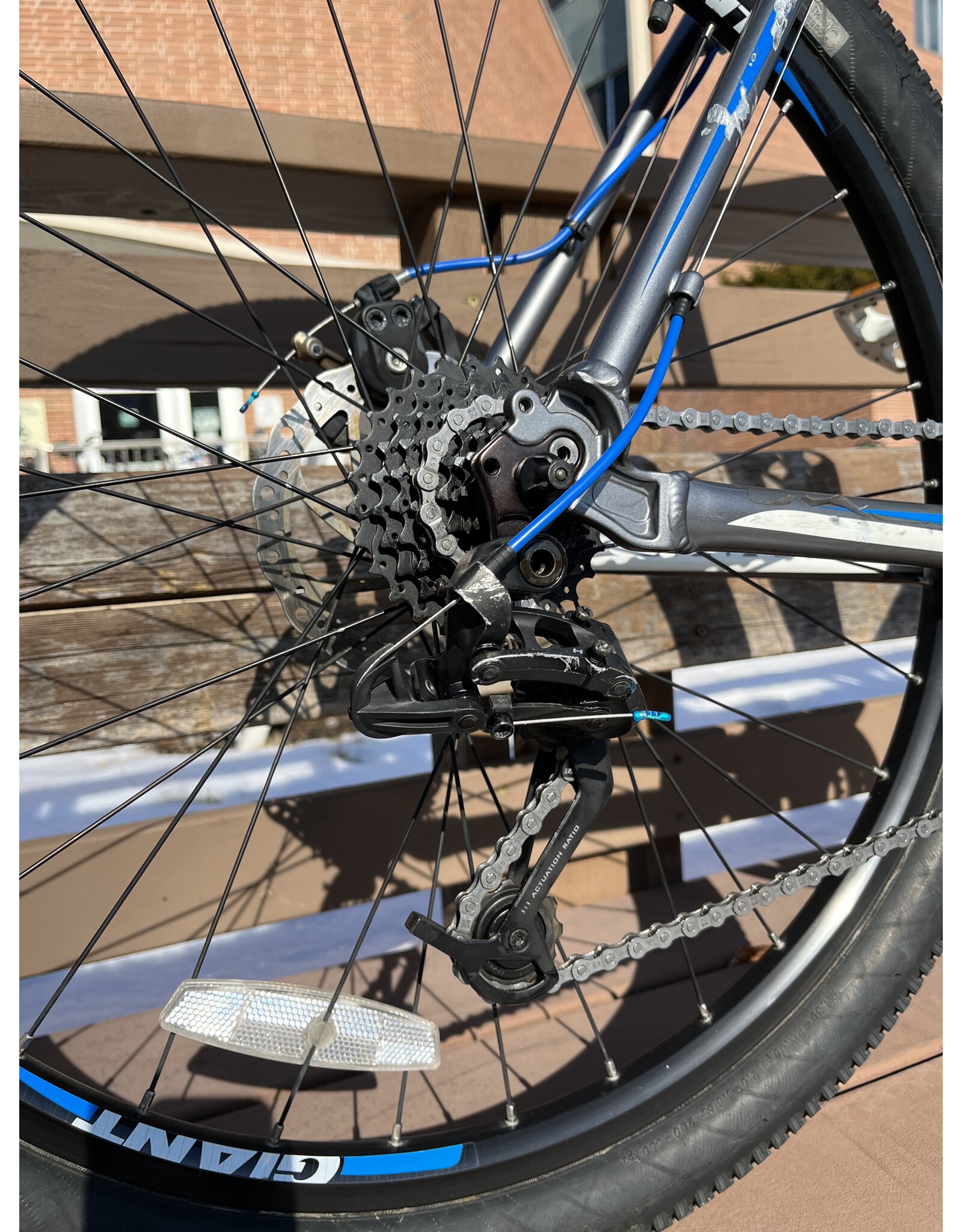 Giant Revel, Gray/Blue, XL