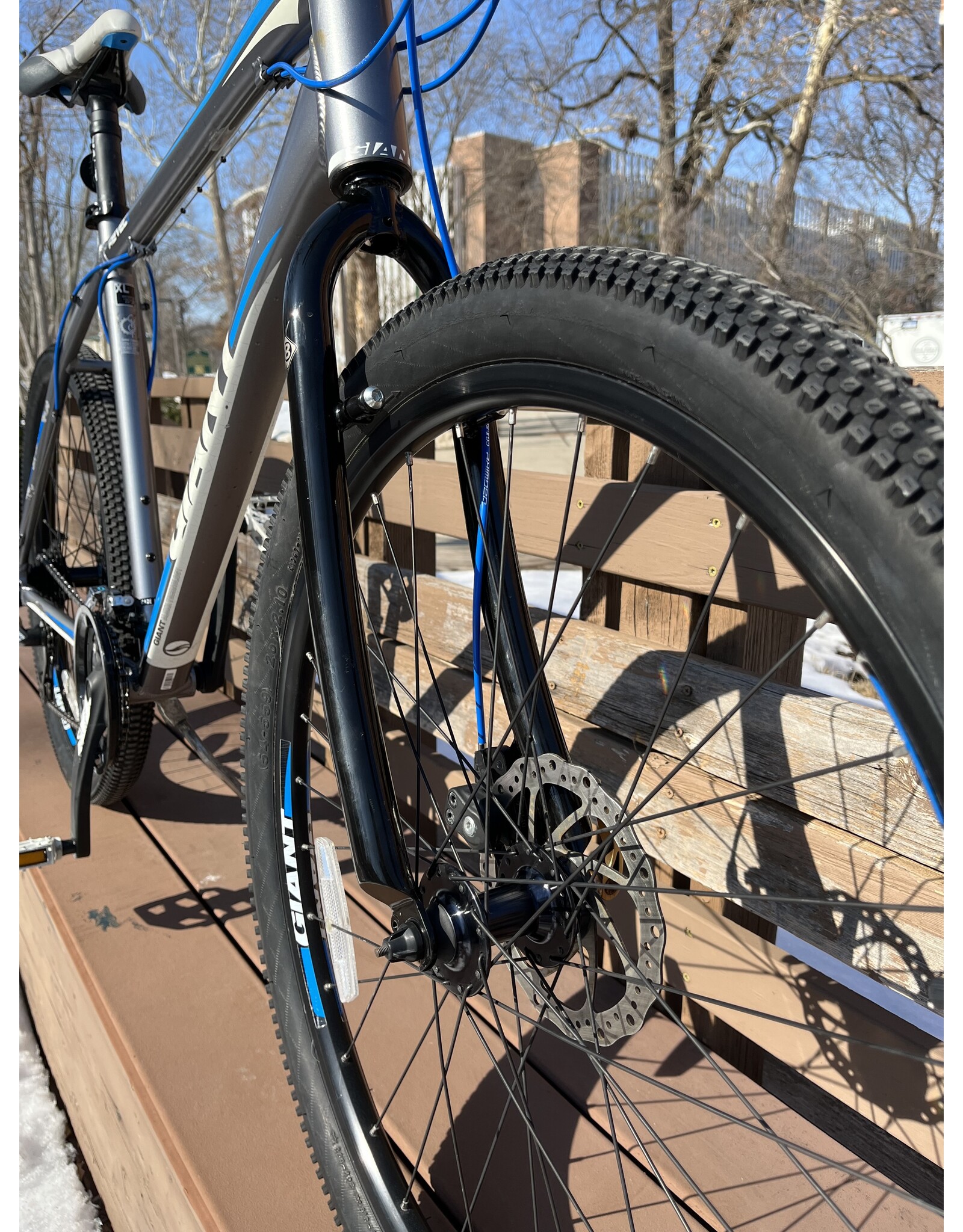 Giant Revel, Gray/Blue, XL