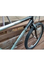 Sepcialized, Expedition, Black/Green, 19in/L