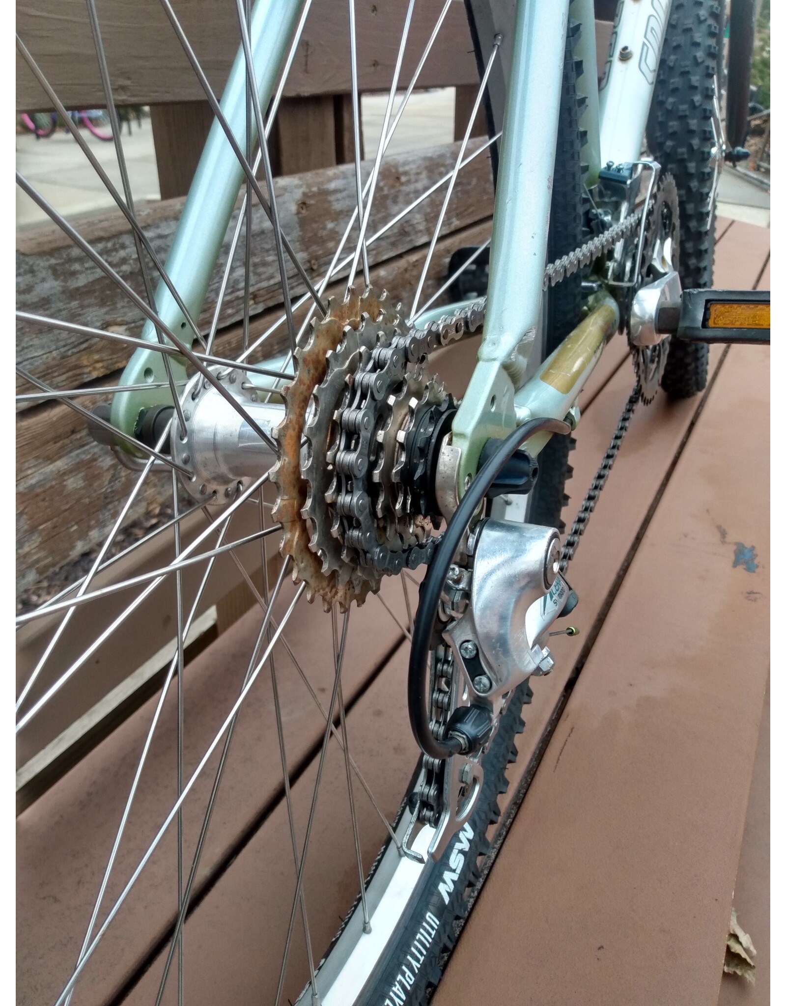 Sepcialized, Expedition, Black/Green, 19in/L