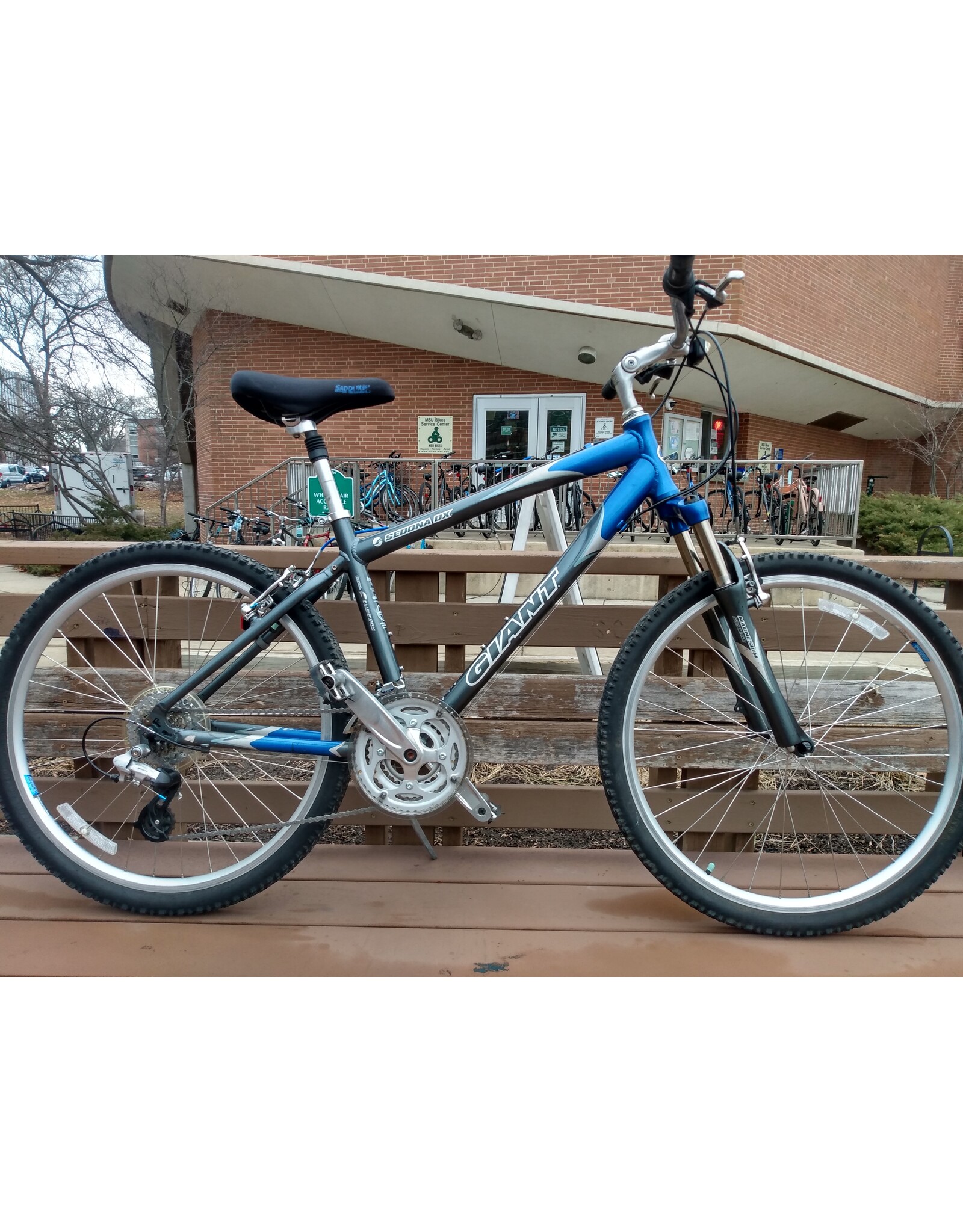 Giant, Sedona, Blue/Silver, 17in/M