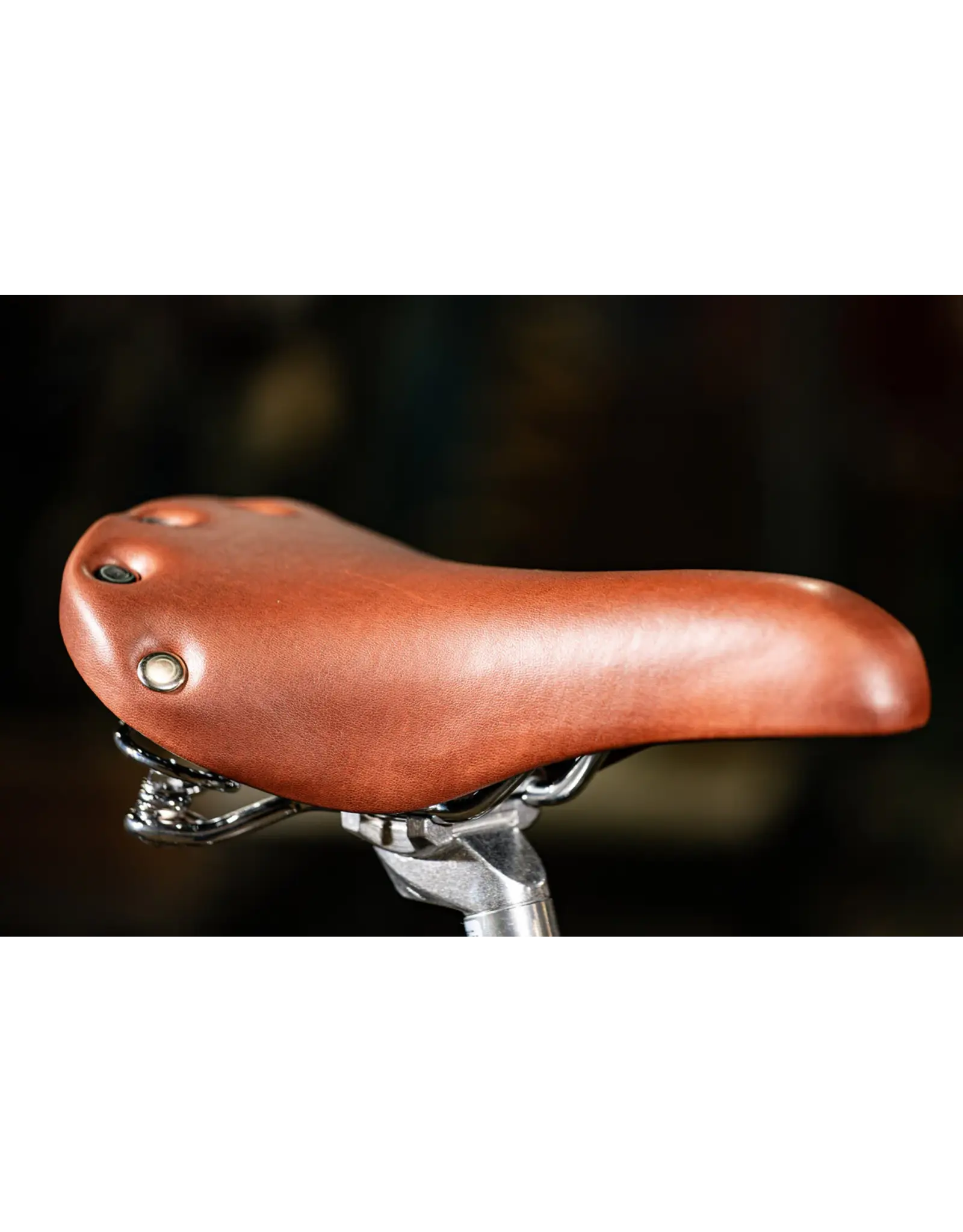 Detroit Bikes Detroit Bikes, A-Type (3 speed), Sparkly Silver, L