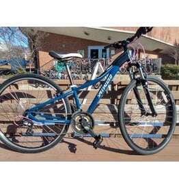 Specialized, Ariel, 13in/XS, Blue