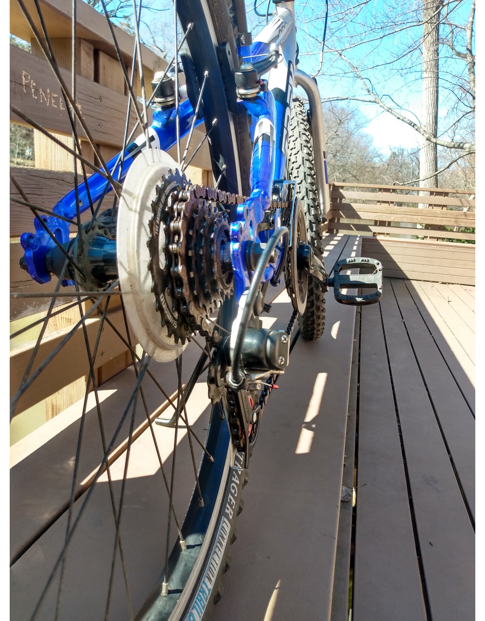 Trek, MT200, 12in/Kids, Blue