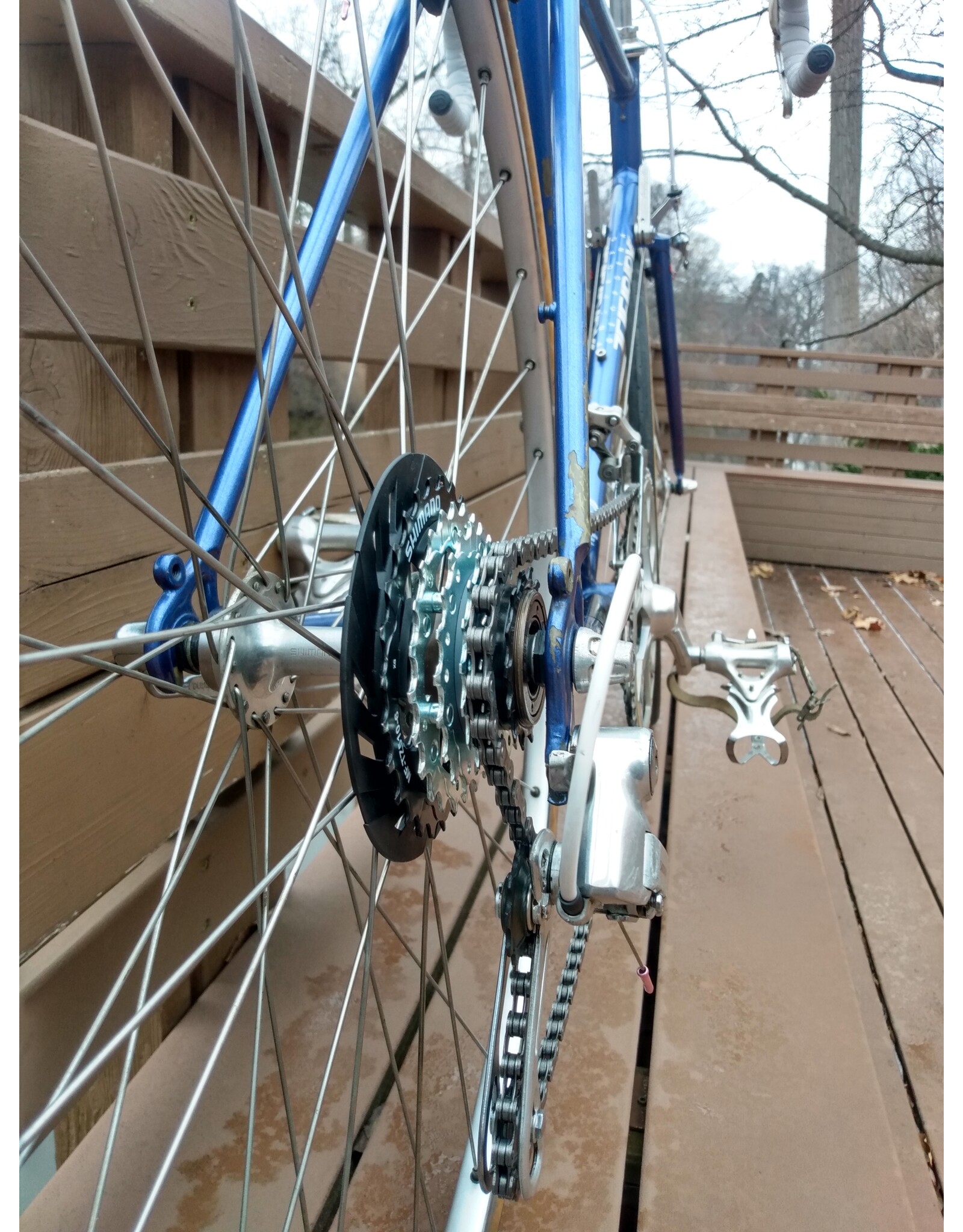 Terry, Custom, 47cm/XS, Blue