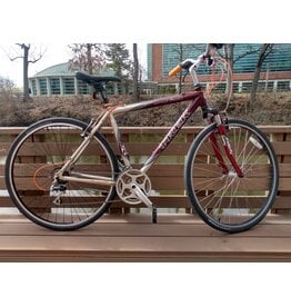 Trek, Multitrack, 19.5in/L, Red/Silver