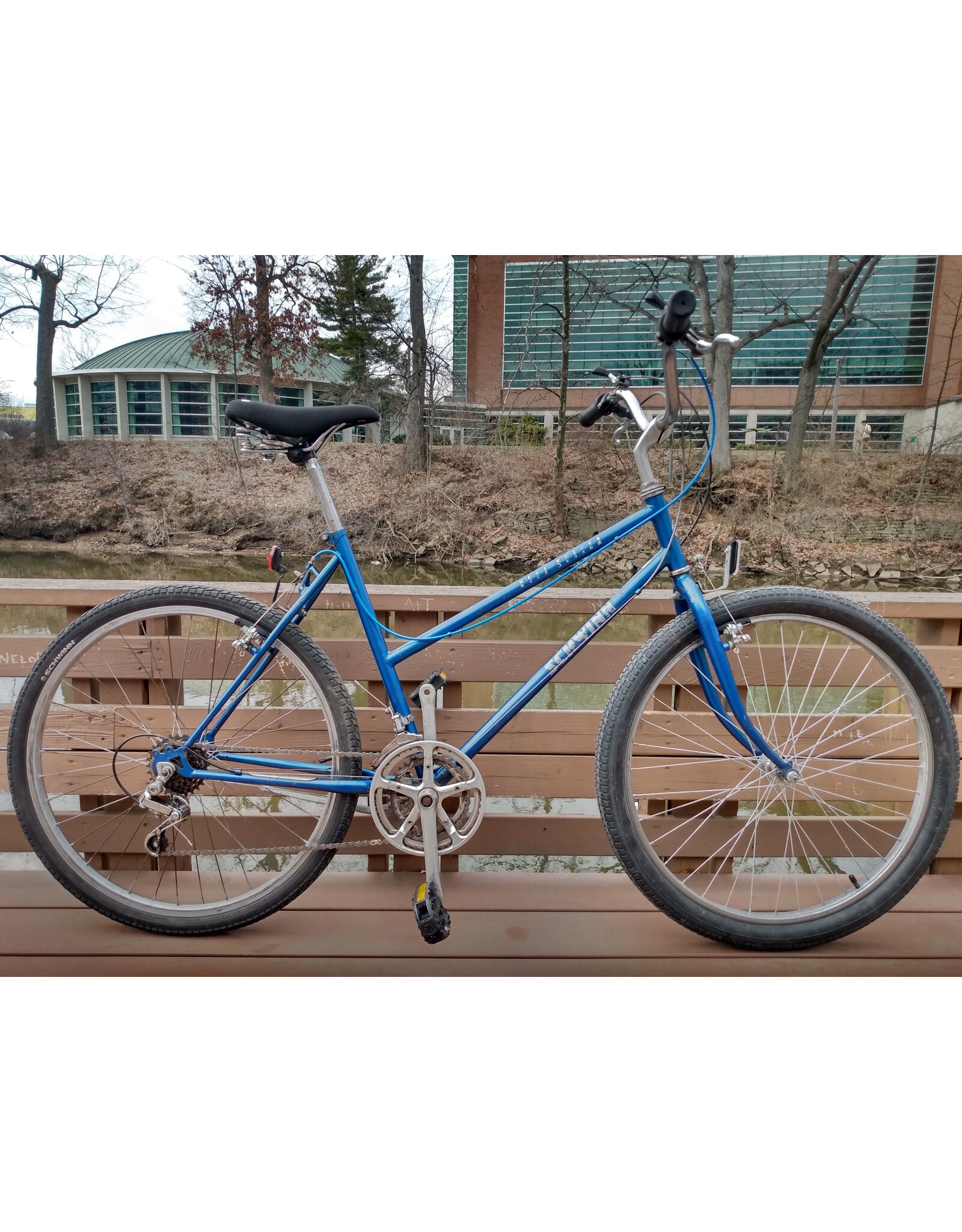 Schwinn, Mesa Runner, 20in/L, Blue