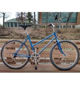 Schwinn, Mesa Runner, 20in/L, Blue