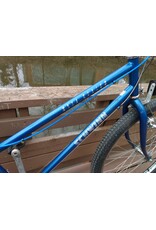 Schwinn, Mesa Runner, 20in/L, Blue