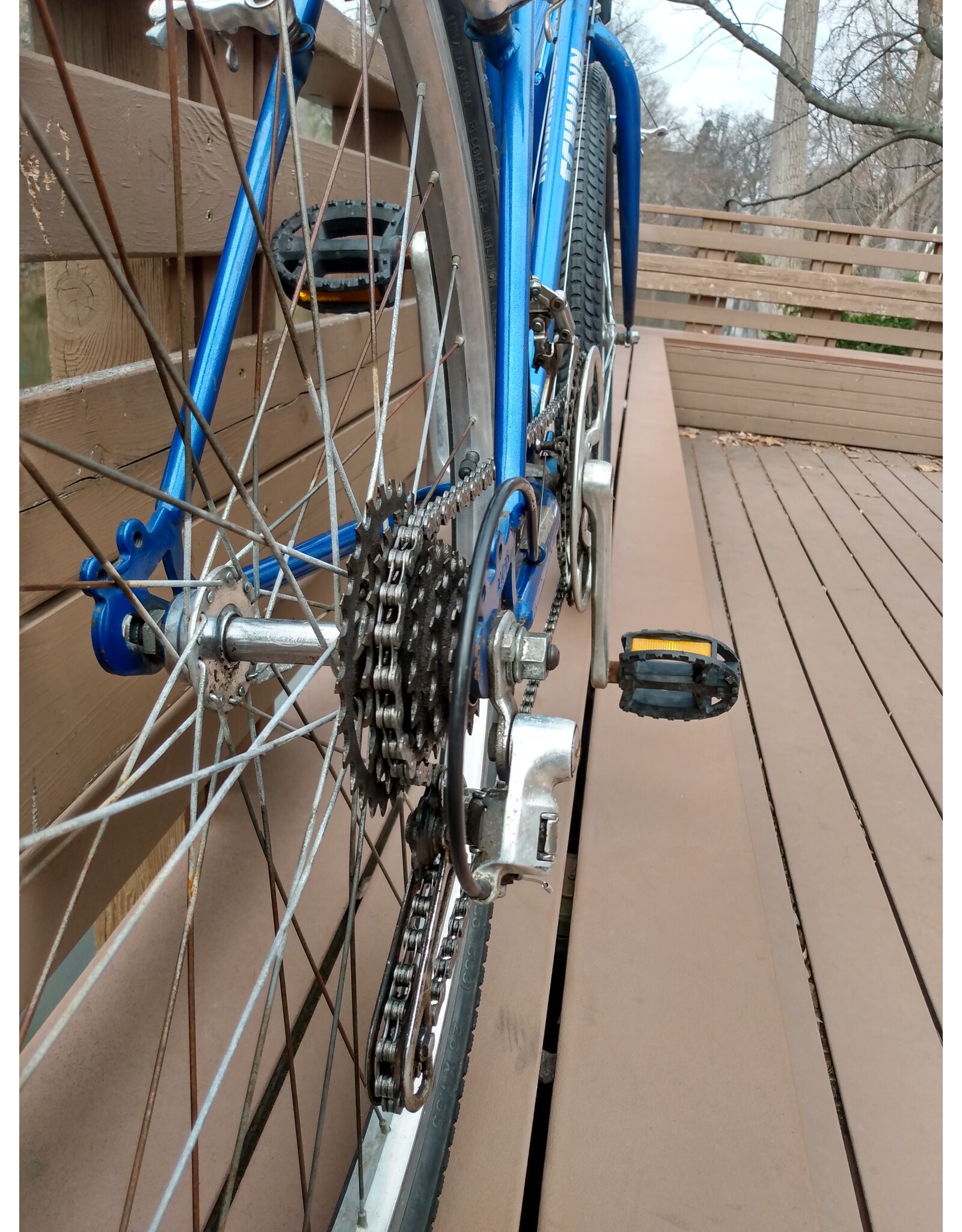 Schwinn, Mesa Runner, 20in/L, Blue