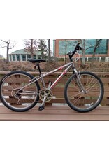 Schwinn, Frontier, 13in/XS, Silver