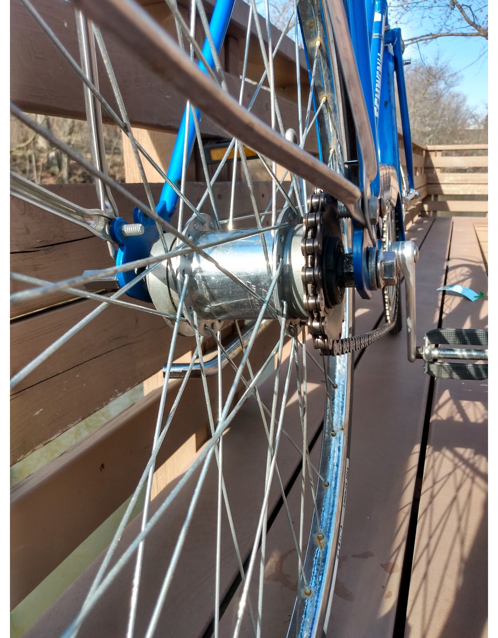 Schwinn, Collegiate, 19in/L, Blue