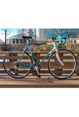 Schwinn, Traveler, 23in/XL,Green