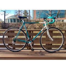 Schwinn, Traveler, 23in/XL,Green