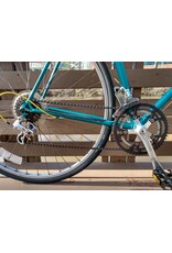 Schwinn, Traveler, 23in/XL,Green