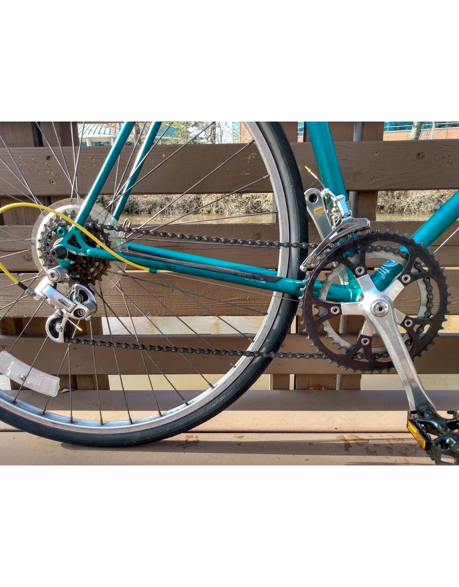 Schwinn, Traveler, 23in/XL,Green