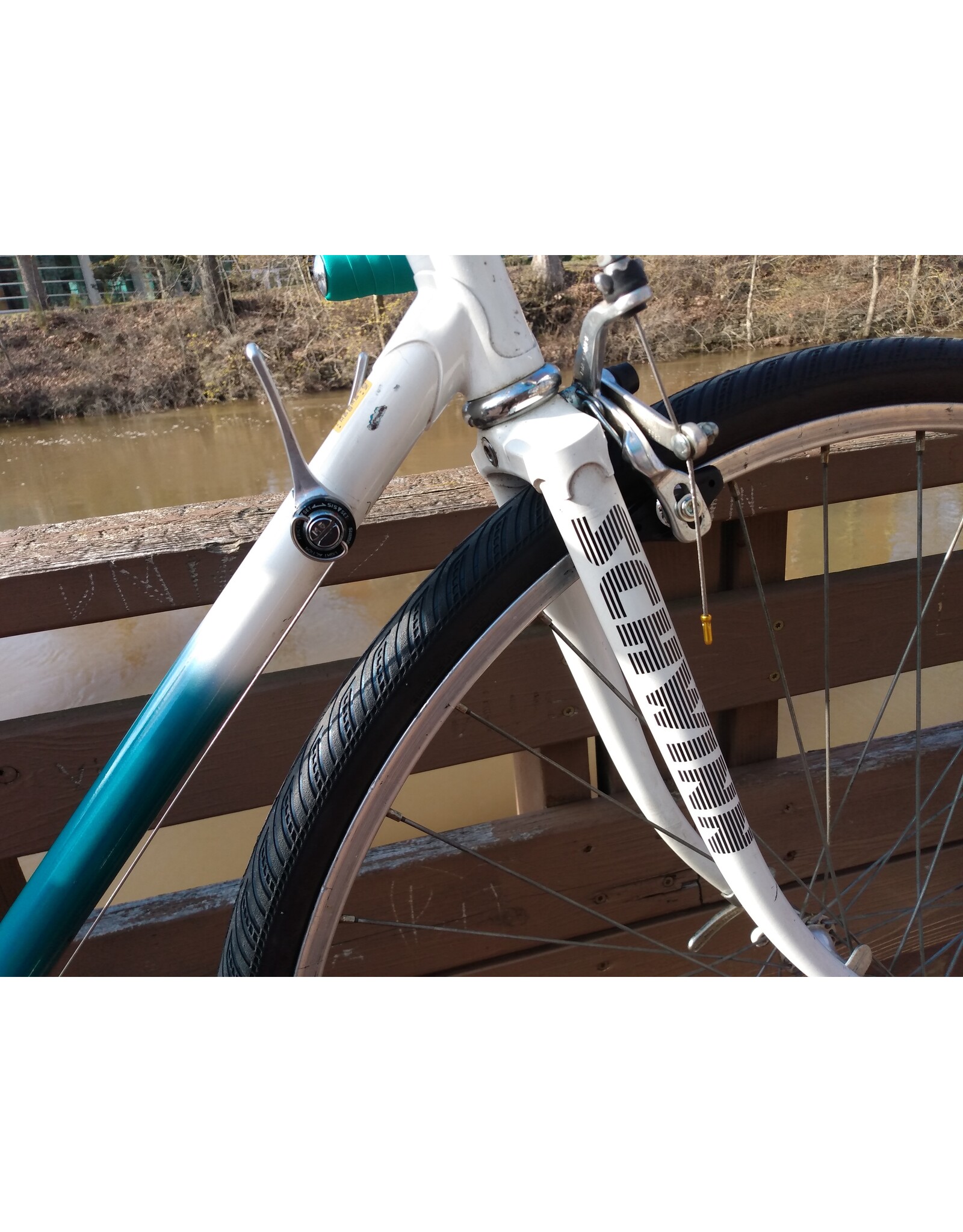 Schwinn, Traveler, 23in/XL,Green