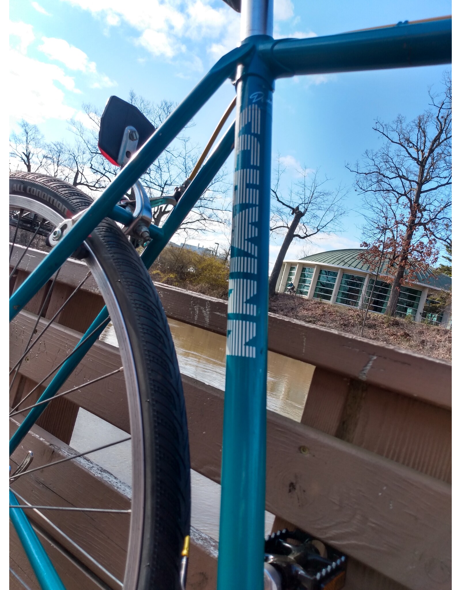 Schwinn, Traveler, 23in/XL,Green