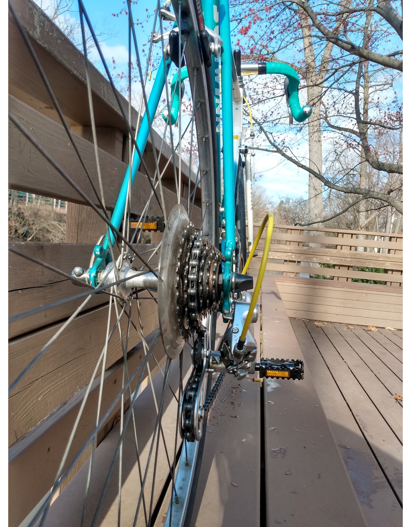 Schwinn, Traveler, 23in/XL,Green