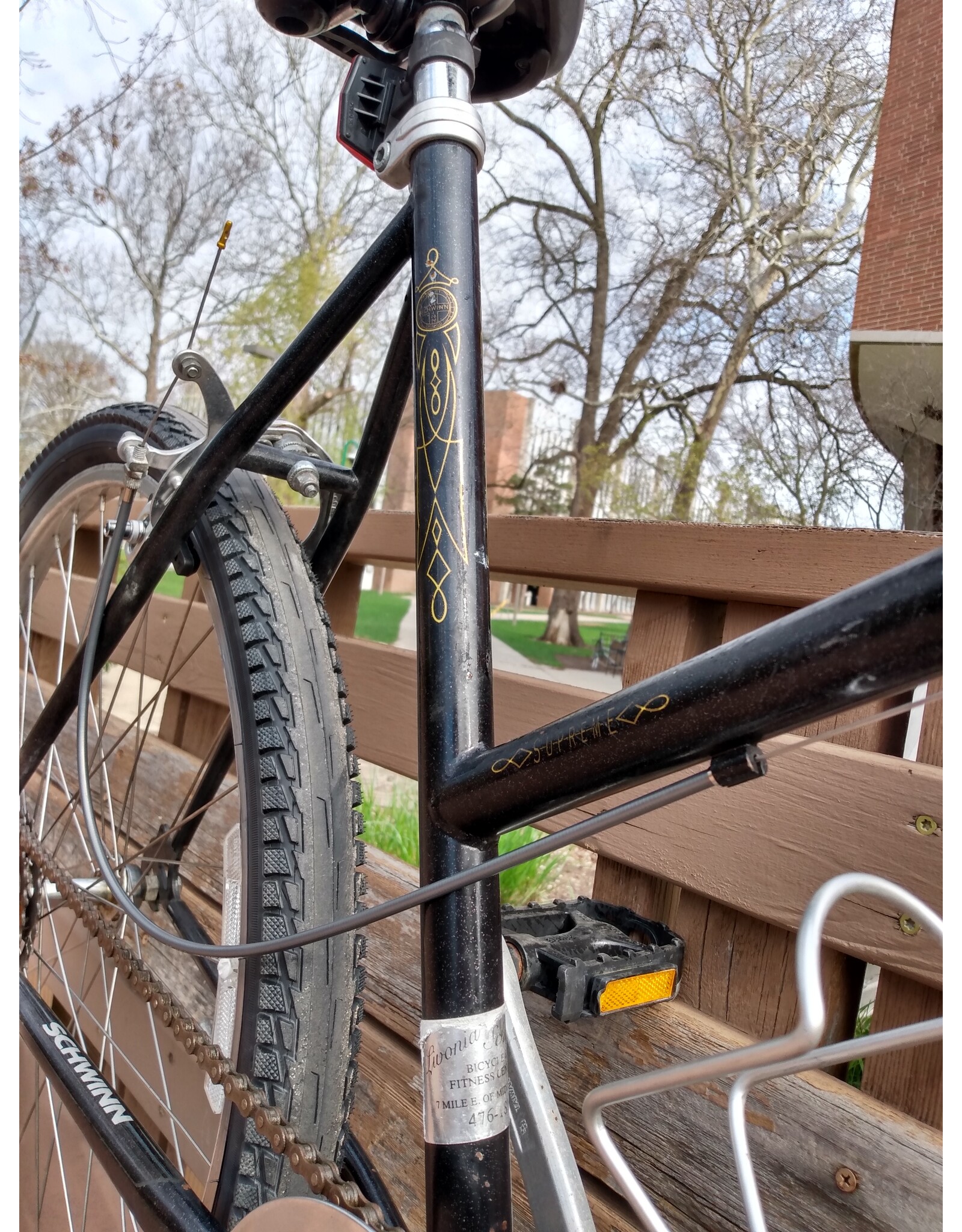 Schwinn, Cruiser, 20in/L, Black