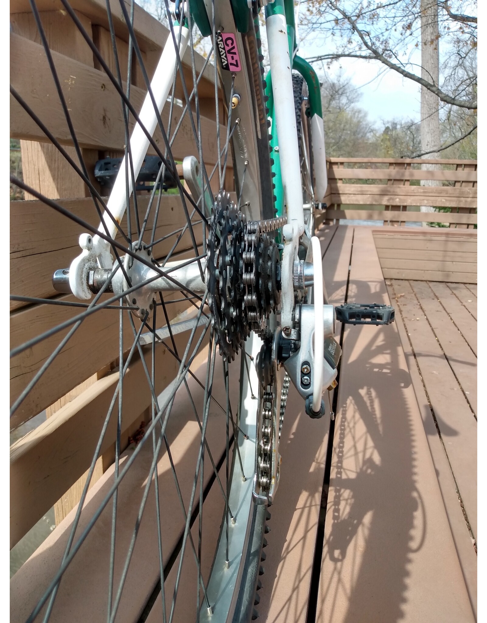 Spartan GT, Green & White, 22in/XL