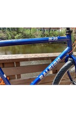 Raleigh, M-20, 22in/XL, Blue