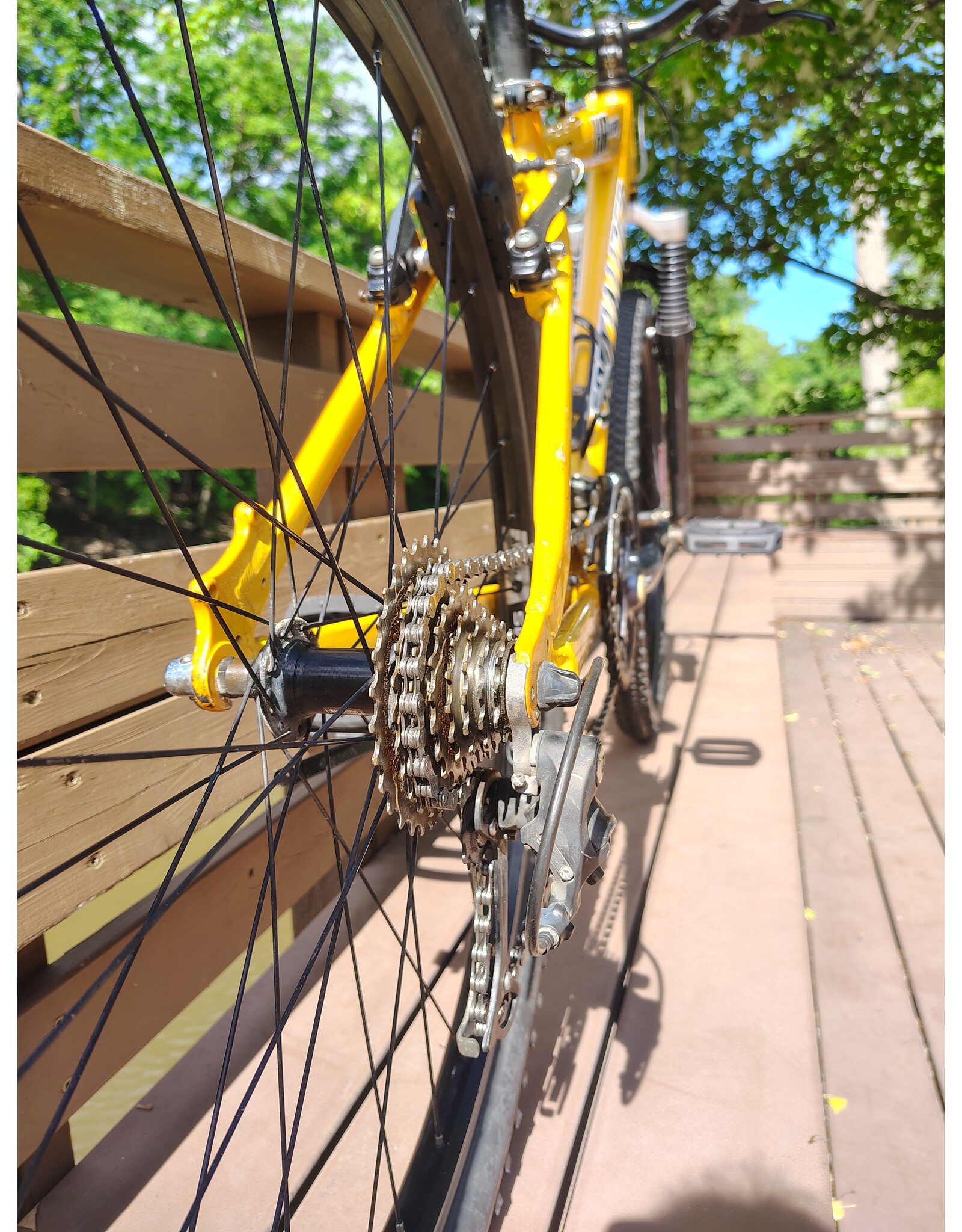 Specialized, Hardrock, 15in/S, Yellow