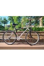 Giant, Eddie Bauer, 19.5in/L, Silver