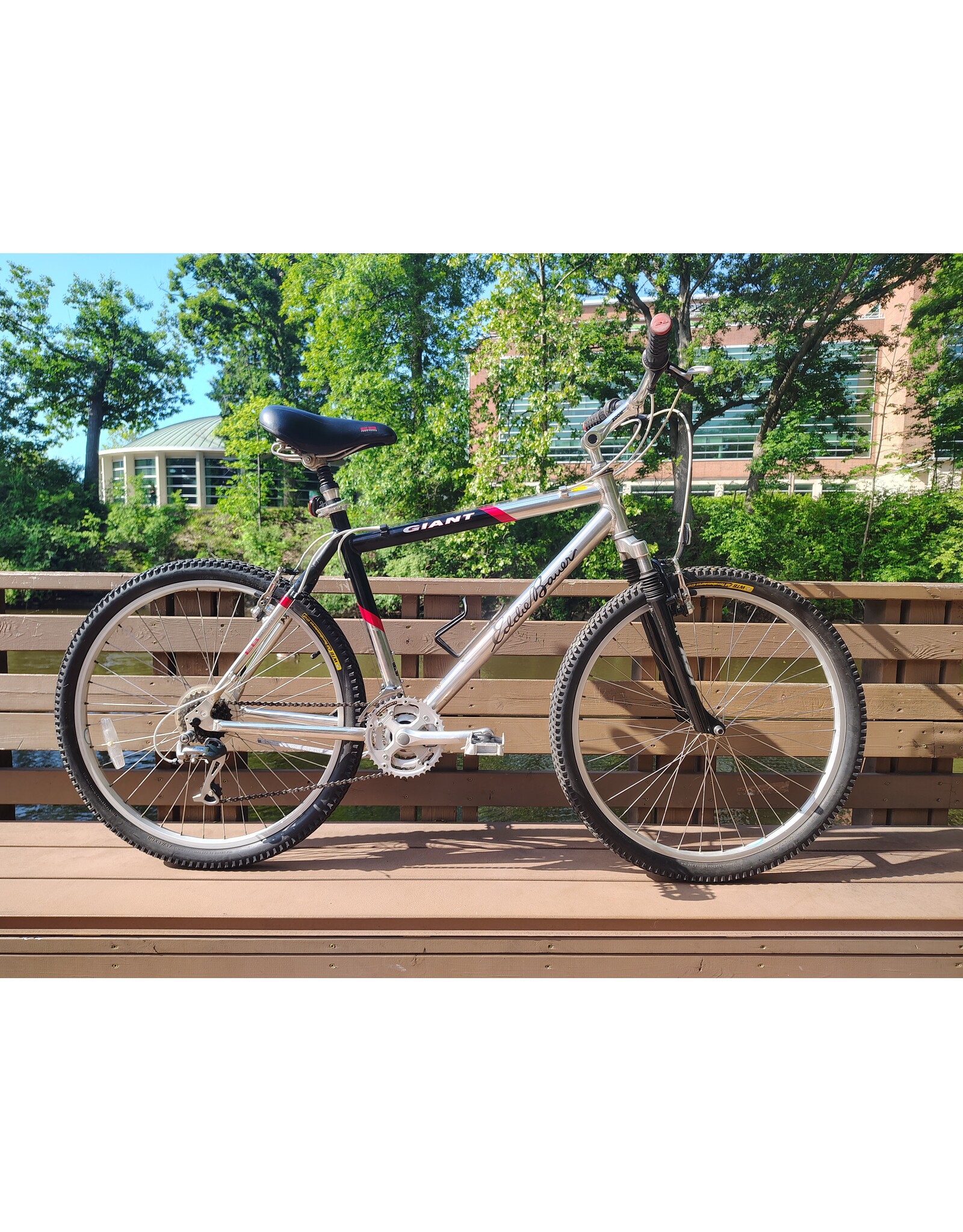 Giant, Eddie Bauer, 19.5in/L, Silver