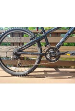 Trek, MT220, 24in/Kids, Black