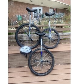 Classic Sun, Unicycle, Silver