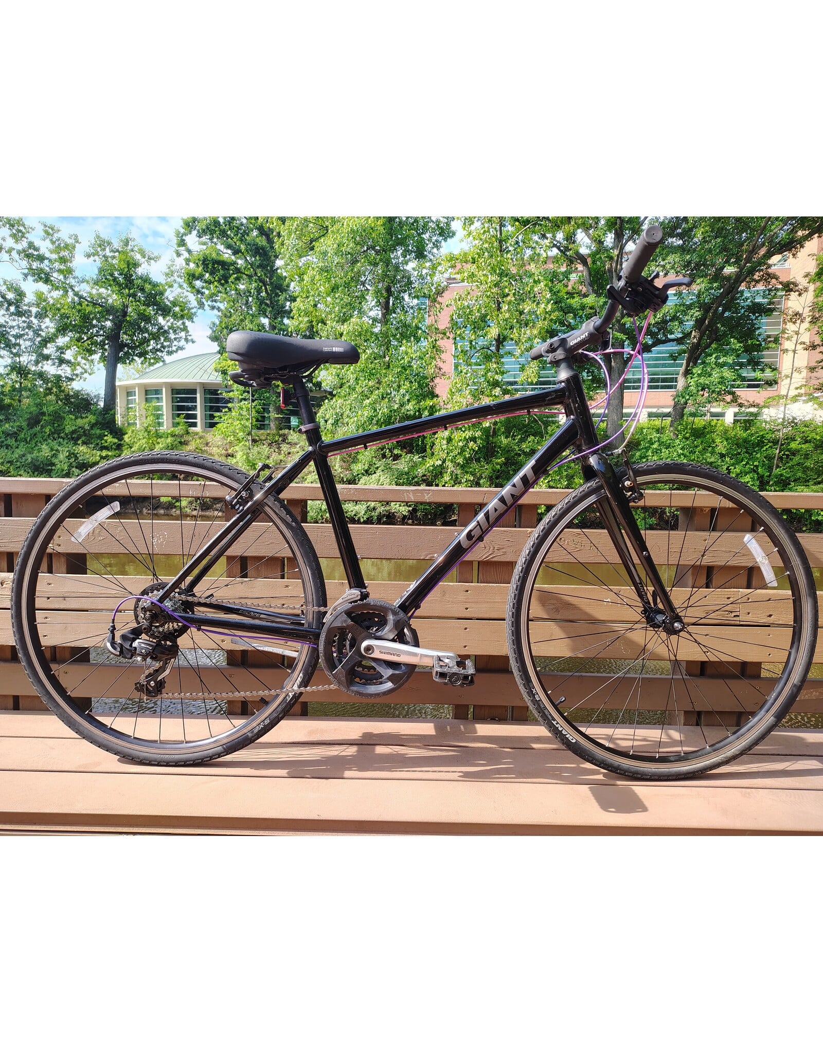 Giant, Cypress, M, Galaxy Black