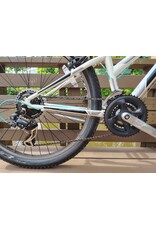 Trek, 820, 13in/XS, White