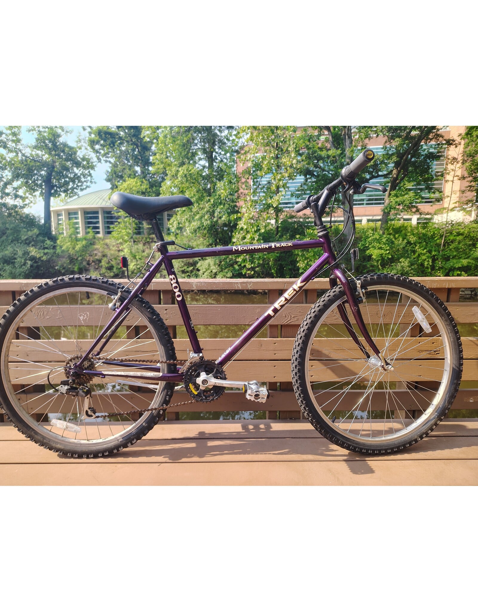 Trek, Mountain Track, 19.5in/L, Purple