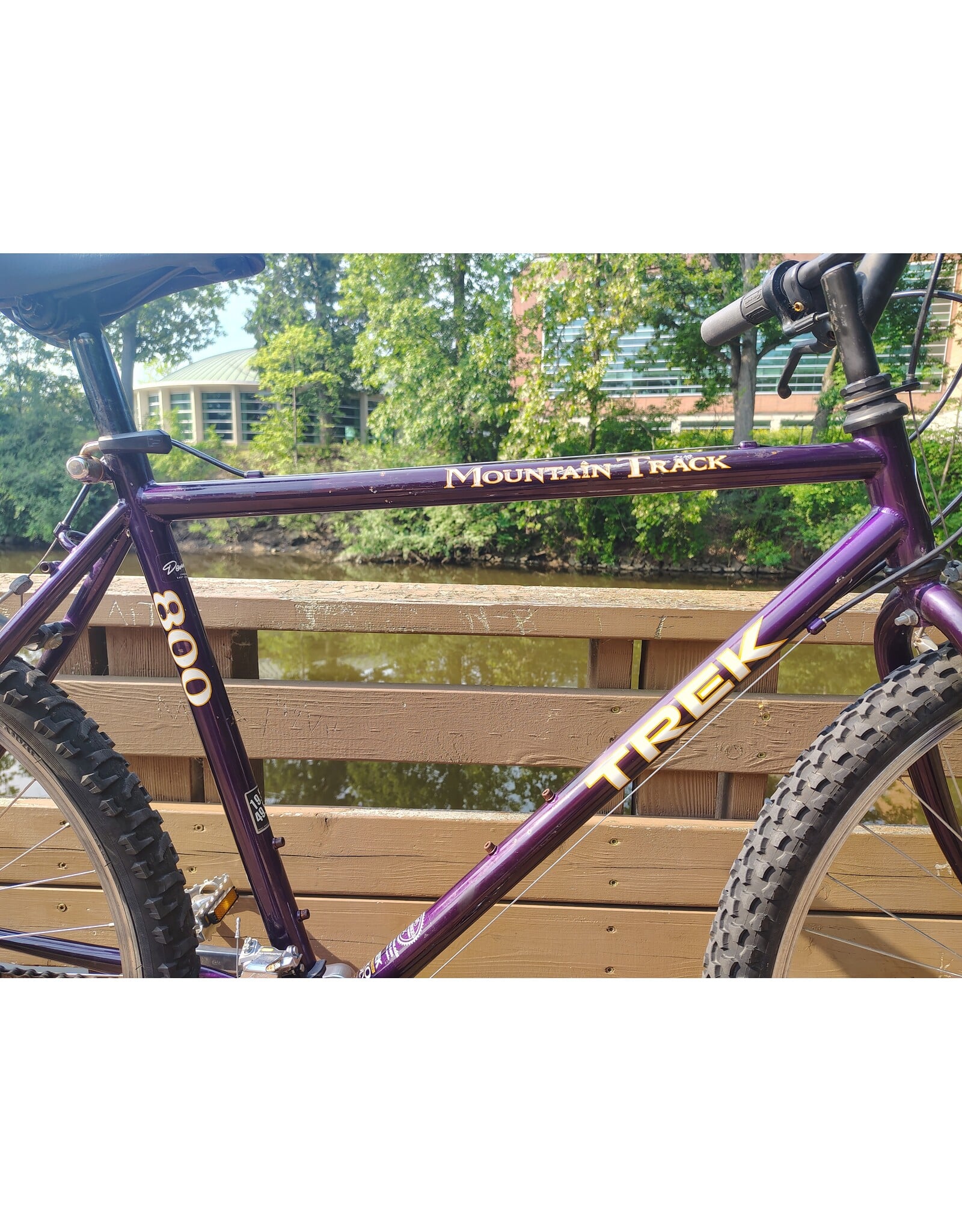 Trek, Mountain Track, 19.5in/L, Purple