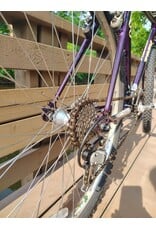 Trek, Mountain Track, 19.5in/L, Purple