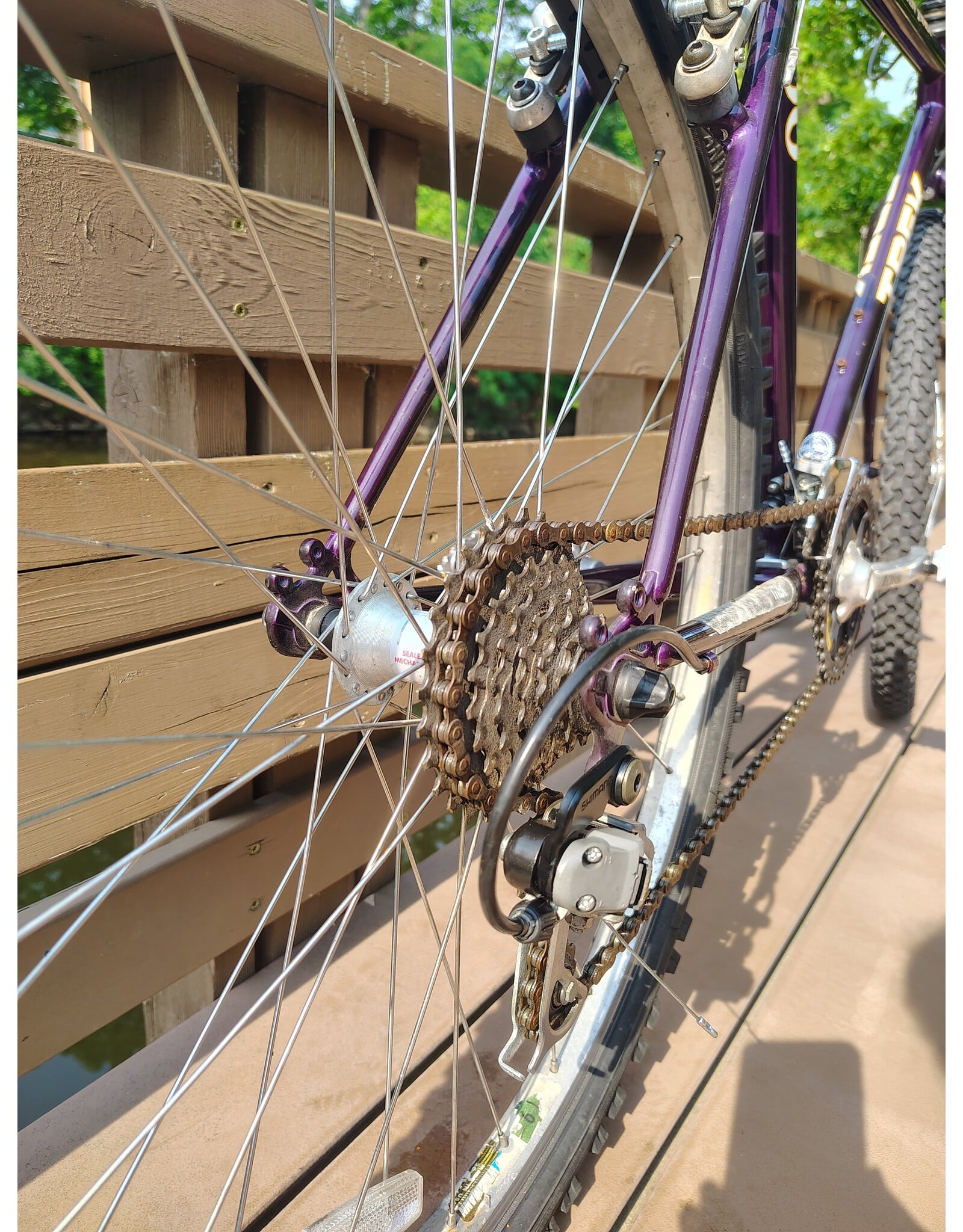 Trek, Mountain Track, 19.5in/L, Purple