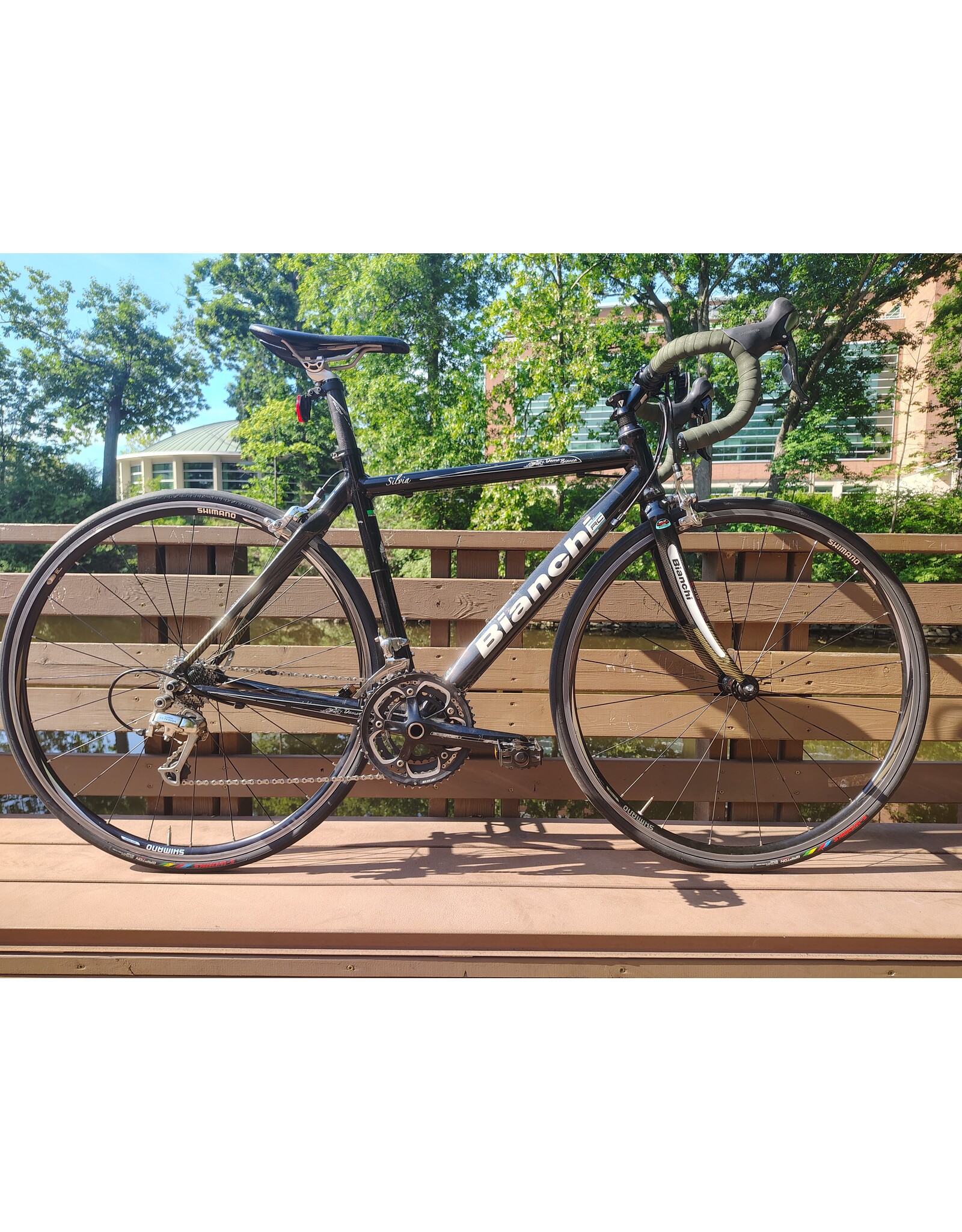 Bianchi, Silvia, 50cm/S, Black