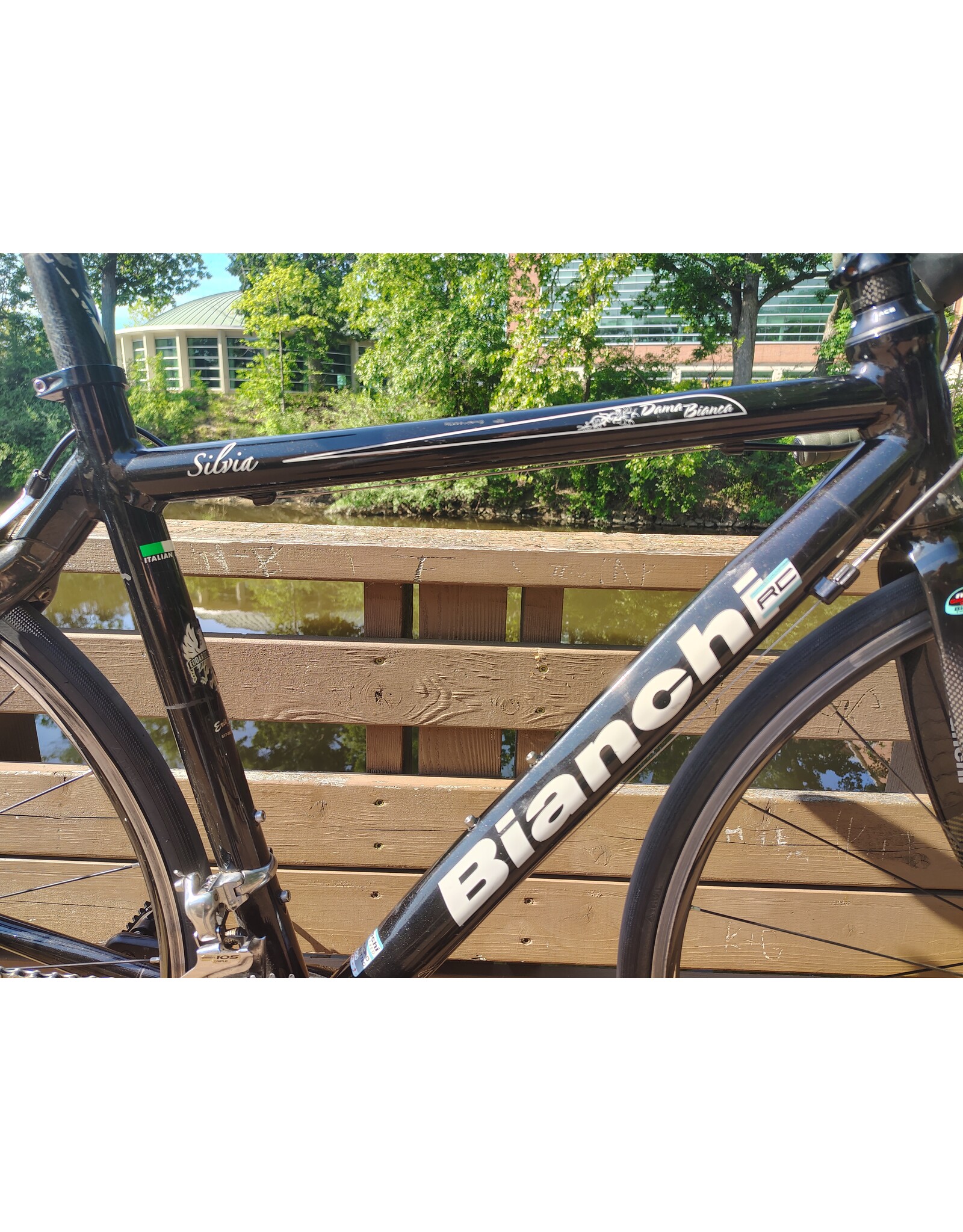Bianchi, Silvia, 50cm/S, Black