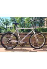 Bridgestone, MB-5, 22in/XL, Pearl White