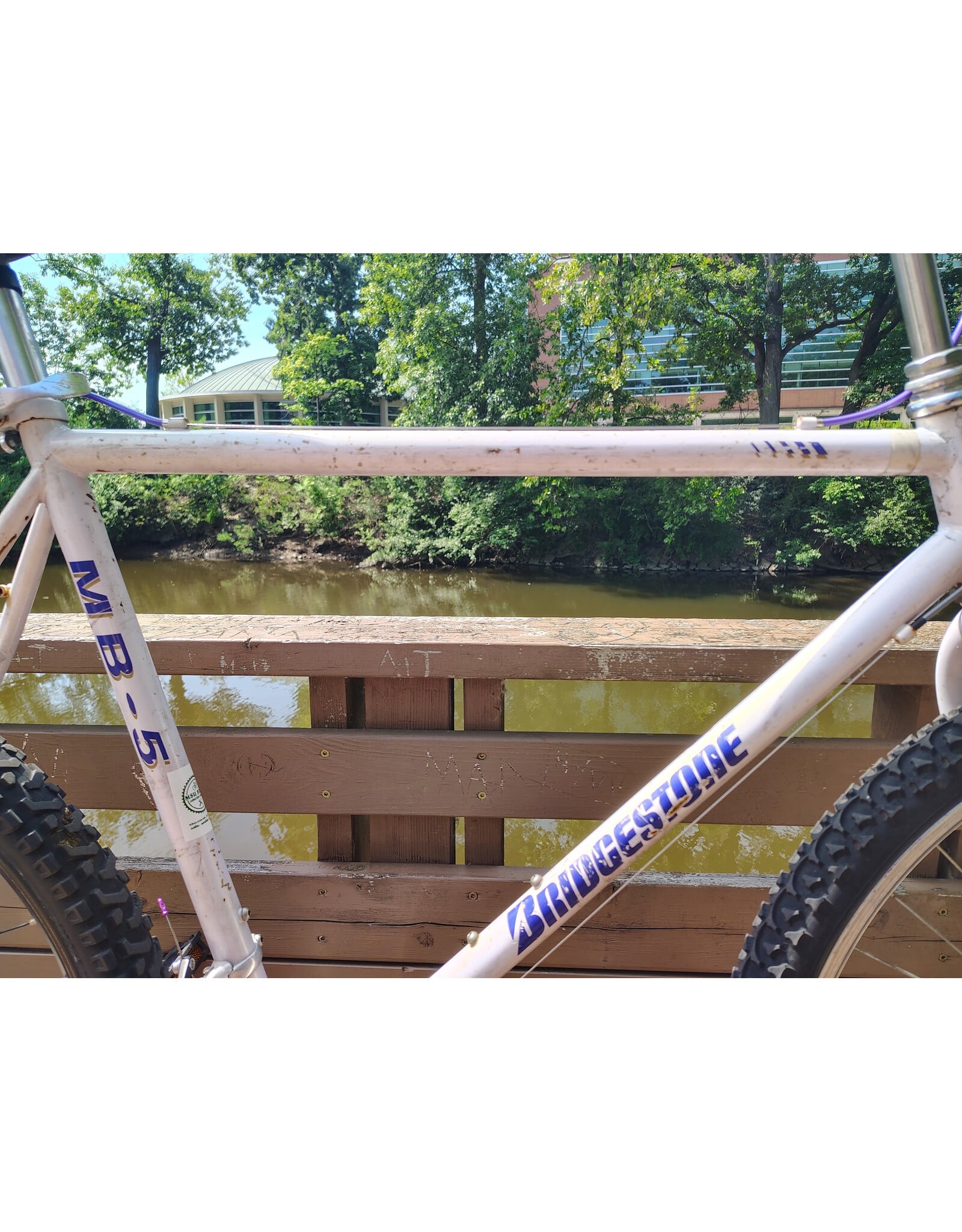 Bridgestone, MB-5, 22in/XL, Pearl White