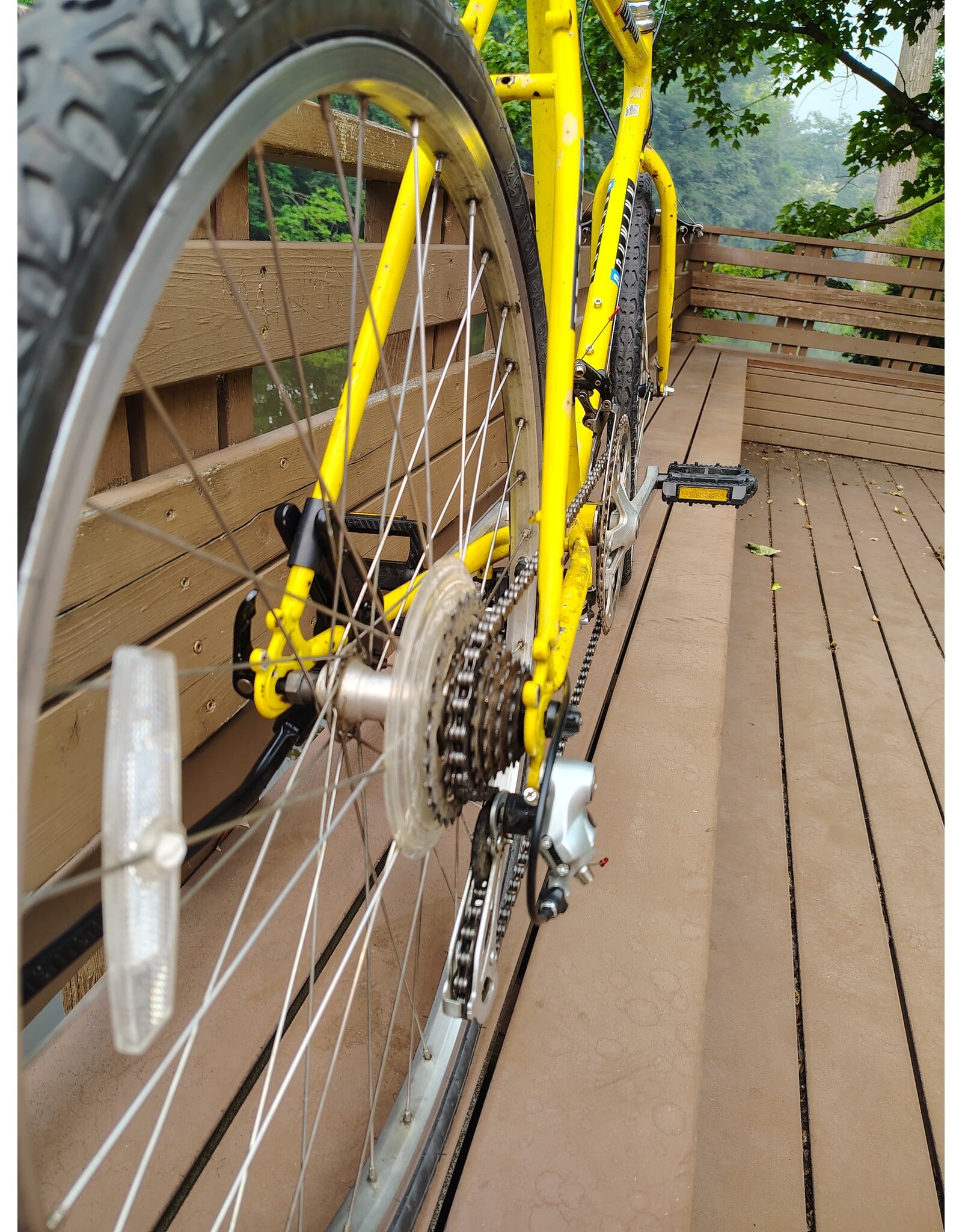 Schwinn, High Sierra, 20in/L, Banana