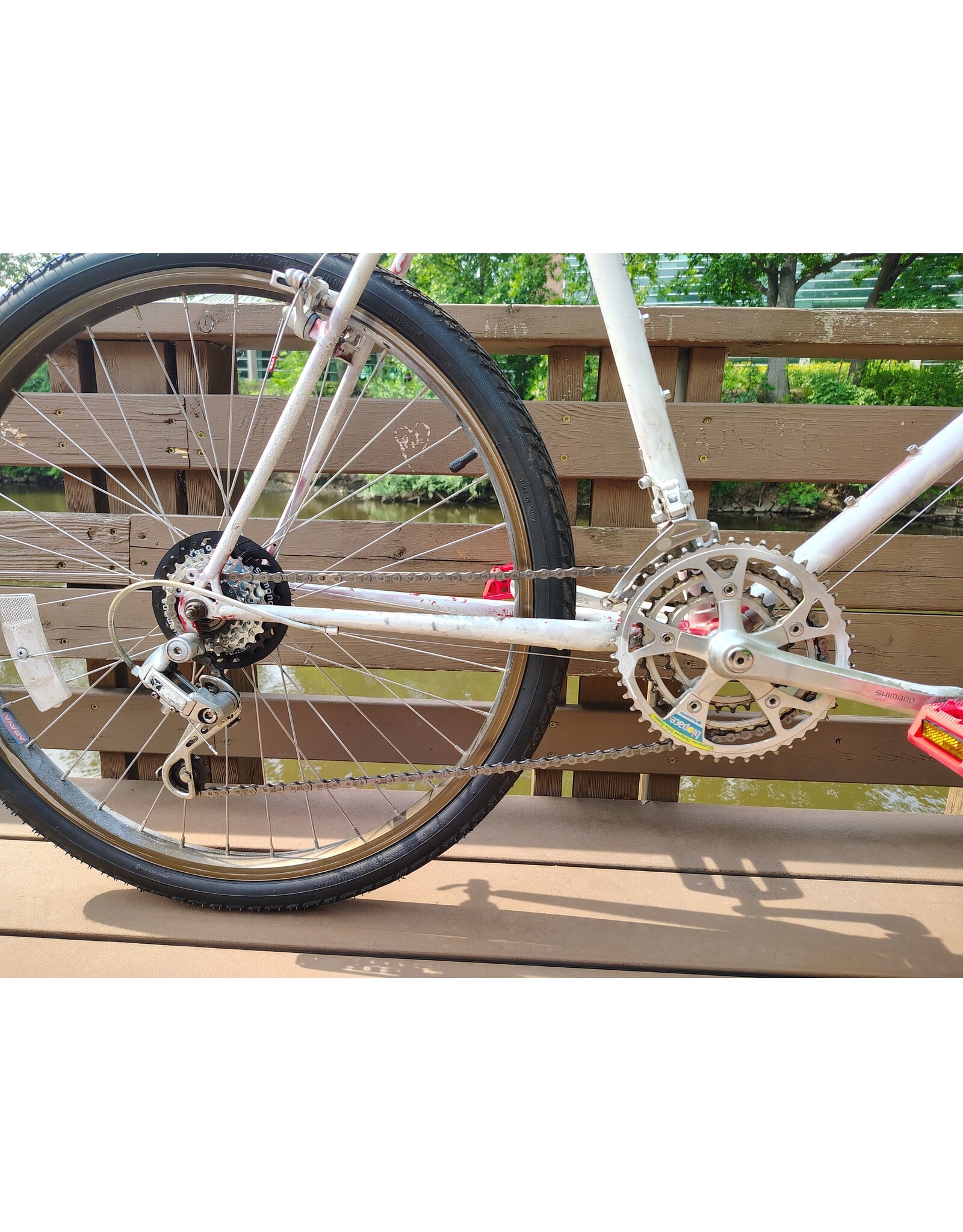 Schwinn, Unmarked, 23in/XL, White