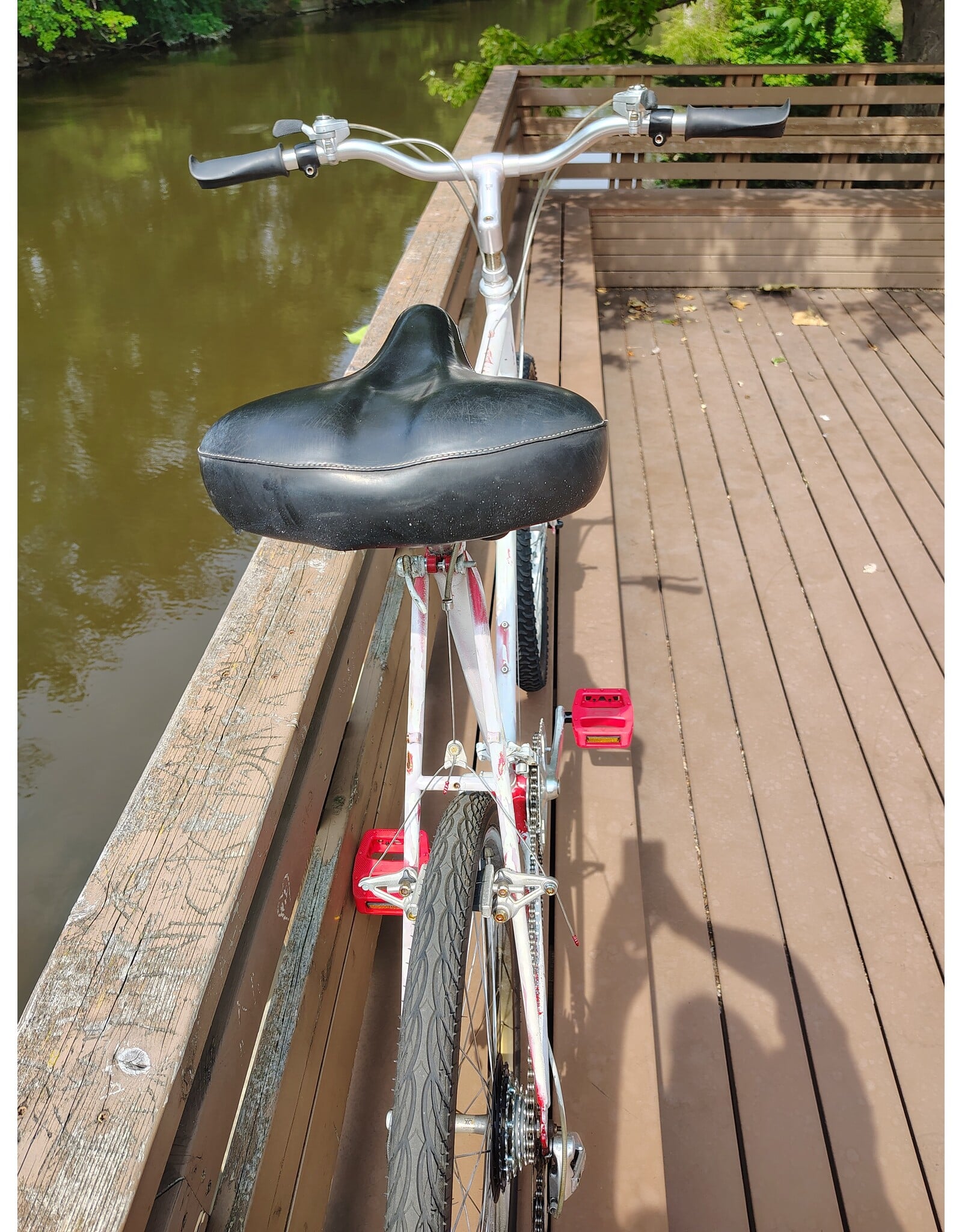 Schwinn, Unmarked, 23in/XL, White