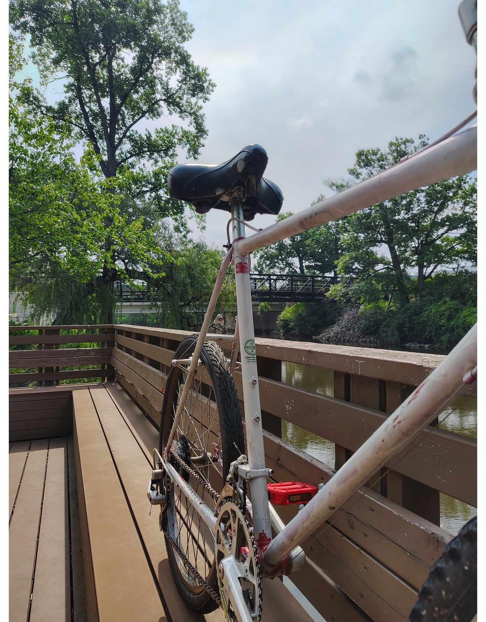 Schwinn, Unmarked, 23in/XL, White